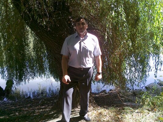  ,   , 53 ,   
