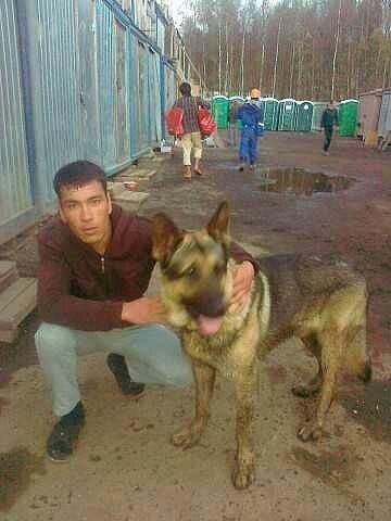  -,   , 40 ,   ,   , c 