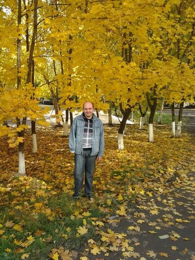  ,   Anton, 35 ,     , c 