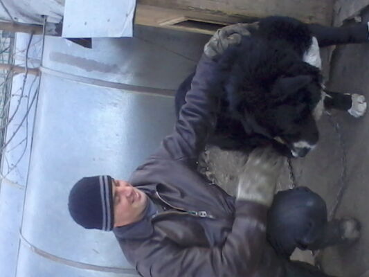  ,   Ilya, 43 ,   