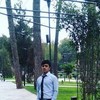   Zver