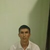   umidillo