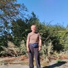  ,  , 53
