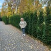  ,  , 61