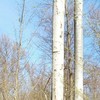   ,  , 38