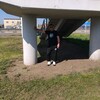  ,  , 37