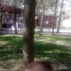  ,  , 39