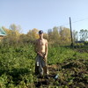  sergei