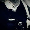 ,  Maxmud, 31