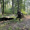  ,  Romik, 29