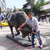   adonaro