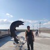  ,  , 55