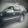   Elyor