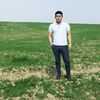  Arnur