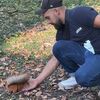  ,  Igor, 31